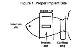Proper Implant Site